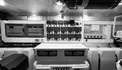 Greyhound For Sale image82