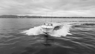 Commodore Two For Sale image7