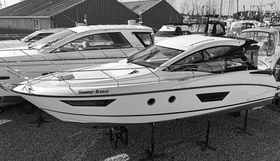 noname For Sale image1