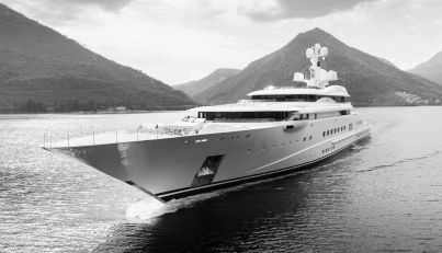 Pelorus For Sale image10