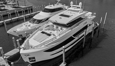 GENESIS For Sale image2