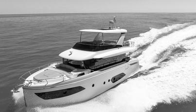 My Toy For Sale image1