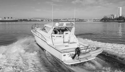 MISS MICHELLE For Sale image16