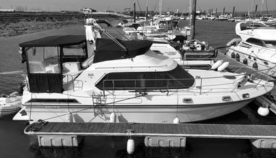 noname For Sale image2