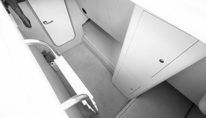 Enzo For Sale image74