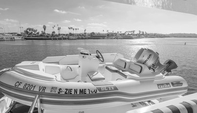 Suzie N Me For Sale image56