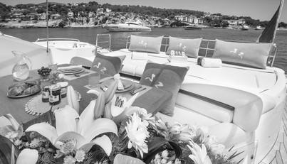 FROGGY For Sale image13