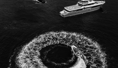 FLYING MANTA For Sale image6