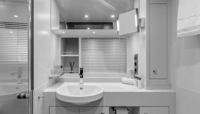 GYRFALCON For Sale image67