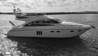 noname For Sale image8