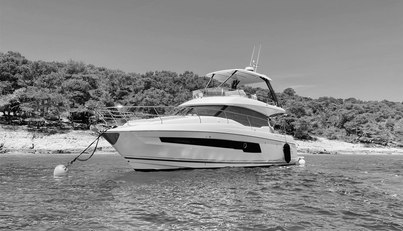 BELVEDER For Sale image1