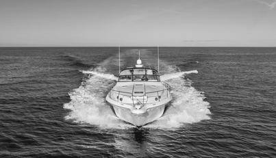 QUARANTINE For Sale image10