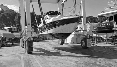 noname For Sale image47