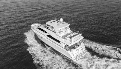 MALOU For Sale image8