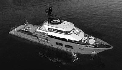 KING BENJI For Sale image1