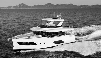 noname For Sale image1