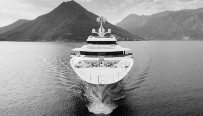 Pelorus For Sale image39