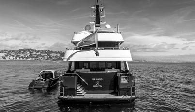 BRAVADO For Sale image48