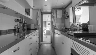 COCONUTS For Sale image28