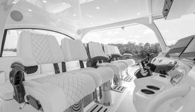 65 Estrella For Sale image25