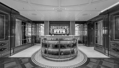 AMADEA For Sale image13