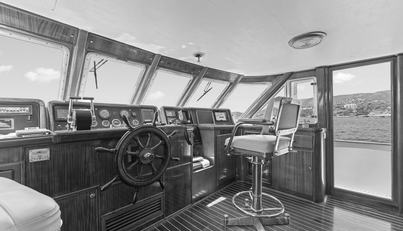 DAYLAMI For Sale image18