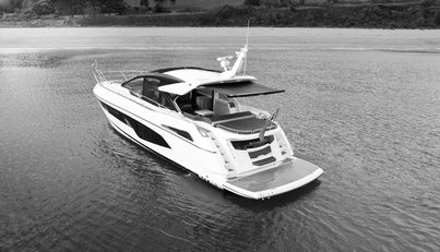 STINGRAY For Sale image13