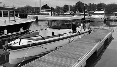 HAYLU For Sale image14