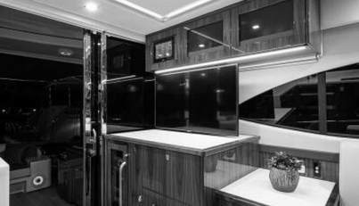 Greyhound For Sale image31