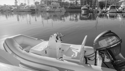 FINE SEAS-ONINGS For Sale image53