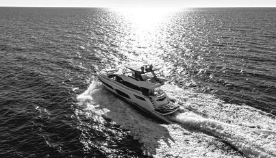 SNOWWHITE For Sale image7