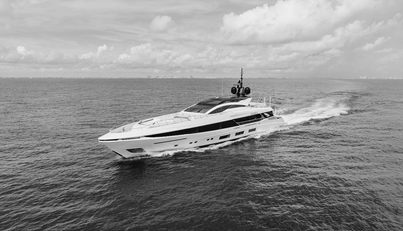 GOLDENEYE For Sale image57