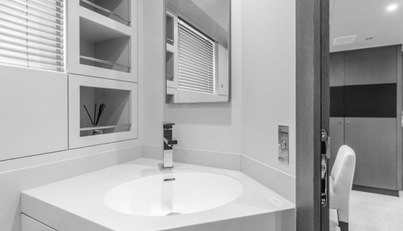 GYRFALCON For Sale image84