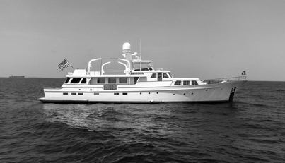 NEREUS For Sale image50