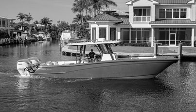 noname For Sale image1