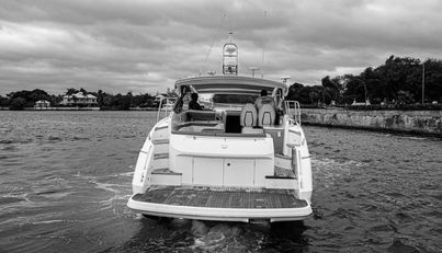 GRAYSKY V For Sale image7