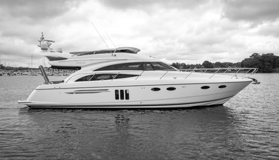 Enzo For Sale image80