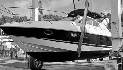 noname For Sale image42