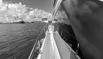 EMERALD For Sale image22