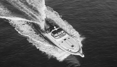 QUARANTINE For Sale image13