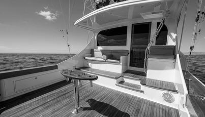 WILL RISE For Sale image31