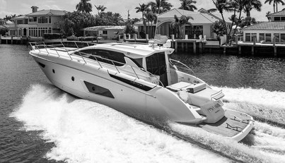 Endurance For Sale image11