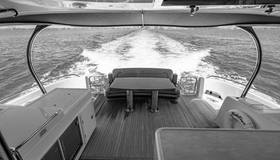 Bald Eagle For Sale image16