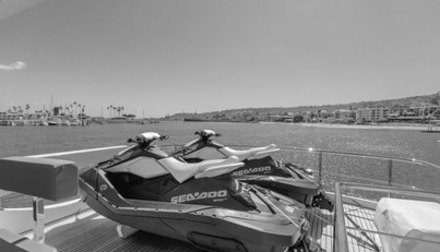 GYRFALCON For Sale image55