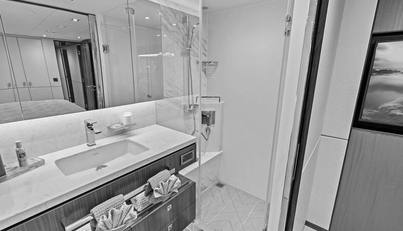 GENESIS For Sale image37