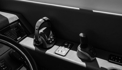 Bald Eagle For Sale image49