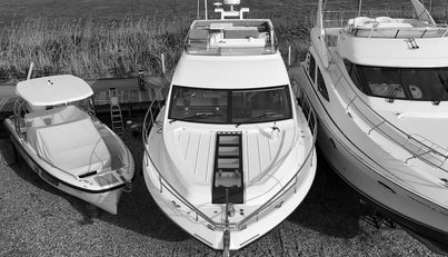 noname For Sale image6