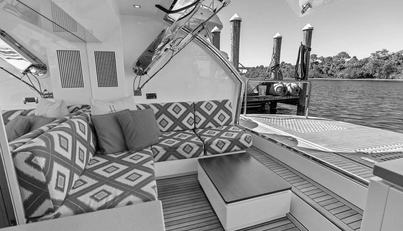 GENESIS For Sale image10