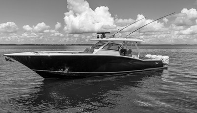 noname For Sale image1