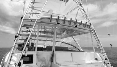 Reel Tycoon For Sale image15